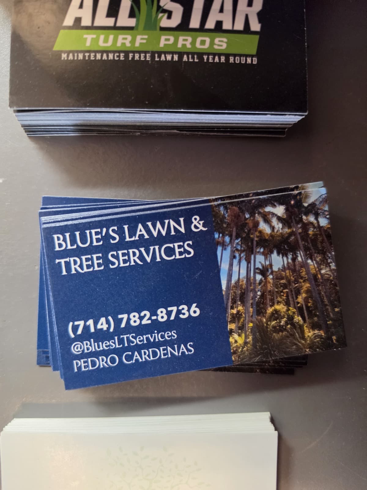 Blue's Lawn & Tree Services project photo